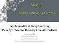 DL 2-1 -Perceptron for Binary Classification and Credit Scoring