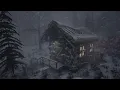 WIND STORM COLD BRUTAL Winter Wind Storm Cold Weather 2024-2025 EXTREME COLD Bone Chilling
