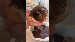 وفجأه بقلب قارئة الفنجان  بحياتك ياولدي أمرأة   عذرا  للتصميم الفنجان براند هند نصر للصلصال الحراري دندنها