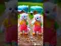 Download Lagu Cat jumping dance  🍼 Dudi dudi dum dum 🥰 #cat #cute #love #dudidudidam #catshorts #shorts