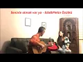 Seninle olmak var ya - Eda&Metin Özülkü (Cover-Aslı Dumlu Pulluk&Cenk Bayramoğlu)