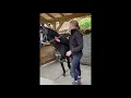 Grooming 2 How to Use a Curry Comb