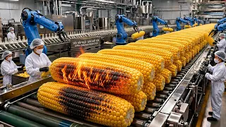 How Corn Milk Is Made in a Massive Factory 🌽🥛 | From Fresh Corn to Creamy Corn Milk | Full Process