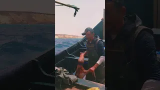 Https Vm Tiktok Com ZMrsA7Huo Fishing 