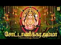 Lagu சோட்டாணிக்கரஅம்மா | Chottanikkara Amma | Devi devotional song | sung by T.L Maharajan \u0026 Krishnaraj