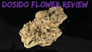 Download Dosido Strain Review MP3