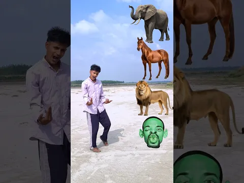 Elephant vs 3 Giant Chocolate BallsOne Is Real? 🐘🏇 #shorts #viral #vfx