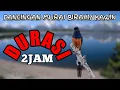 Download Lagu Pancingan murai kawin durasi panjang terbaru.