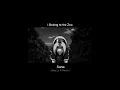 I Belong to the Zoo - Sana (Gelo Lofi Remix)