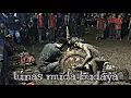 Download Lagu FULL LELAKI BERLUMPUR | TUNAS MUDA BUDAYA