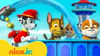 Rubble y Equipo | 90 minutos de diversión en la Torre de Vigilancia de PAW Patrol | Nick Jr.