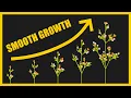 Animating Procedural Plant Growth L System Lerp