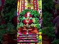Download Lagu మచుపల్లి అయ్యప్ప స్వామి #irumudikattu #sabarimala #ayyapa #ayyapanson#అయ్యప్ప