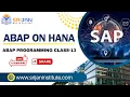 13 Introduction to ABAP Programming Data Types Data Objects Features of ABAP Editor