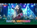 Download Lagu HANYA UNTUKMU - Lusyana Jelita Adella | OM ADELLA LIVE PEKALONGAN [ SPOWKER COMMUNITY ]