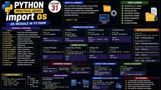 Python OS Module import os Explained Complete Guide Lecture 31