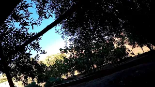 فيديو ساعة بدون حقوق الطبع والنشر 