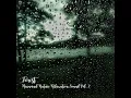 Calming Daybreak Rain Sound