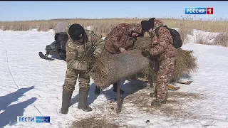 В районах Омской области готовятся к возвращению перелётных птиц после зимовки