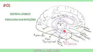 Sistema Límbico #1: História da fisiologia das emoções e circuito de Papéz