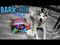 BarkBox Unboxing June 2025