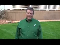 Proper Mowing Practices