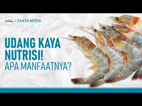 Kaya Nutrisi! Apakah Udang Aman Untuk Pengidap Kolesterol Tinggi?