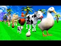 Download Lagu Long Slide Game With Cow Elephant Gorilla Hippopotamus Tiger - 3d Animal Game - Funny 3d Animals