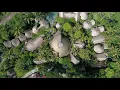 Fivelements Retreat Bali - Main