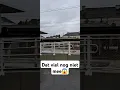Download Lagu Vandaag voor de trein gekozen, vanwege een regenachtige start. Wat een gedoe! Treinverkeer ontregeld