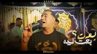 بإحساس عالي عمرك ما هتشوفو غير من محمد الأسمر غزال الصعيد  بإحساس عالي عمرك ما هتشوفو غير من محمد الأسمر غزال الصعيد