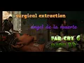 Download Lagu Far Cry 6 Difficulty Normal Mission Surgical Extraction, Ángel de la Muerte #33 full story no commen