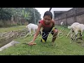 Download Lagu Nature of the village Cinematik hh