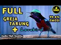 Download Lagu KOLIBRI NINJA GACOR FULL ISIAN TEMBAKAN GEREJA TARUNG DAN LOVEBIRD COCOK BUAT MASTERAN KONIN BAHAN