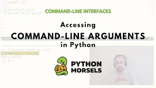 Accessing command line arguments in Python