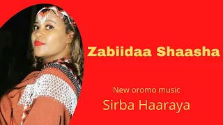 new oromo music artist zebida shasha shaggoyee 