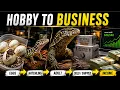 How to Make a Living Breeding Reptiles With Frank Payne