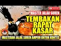 Download Lagu MASTERAN JALAK SUREN KONTES || TEMBAKAN RAPAT KASAR || AMPUH UNTUK MASTERAN