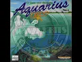 Download Lagu 1993 LP Aquarius Disco O Som Que Devasta Vol. III    ⬇Download na Descrição⬇