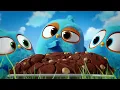 Angry Birds Blues | Top Viewed Episodes! 🤩