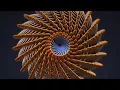 Pattern Of Life Fibonacci Spiral 3D Motion Graphics Animation