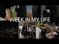 A week in my life apartment decor running a business wellness diaries personal catch up