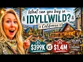 Idyllwild CA What can you get for 1 4M vs 400 000