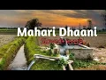 Download Lagu Mahari Dhaani main (slowed+reverb) |  Haryanvi song