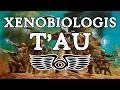 Lagu Xenobiologis: T'au (Warhammer 40K Lore)