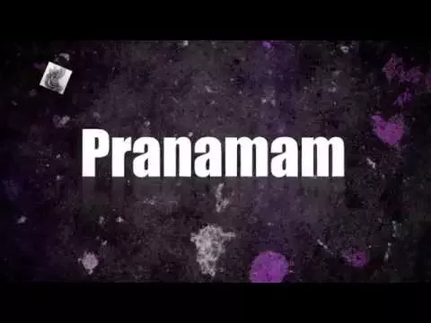 Download MP3 Pranamam Karaoke with Lyrics