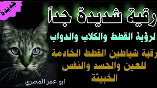 رقية قوية علي الشيطانه القطه الملكه التي عطلت كل شيء ودخلت مع السحر والحسد 0096876903344 
