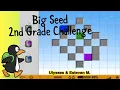 Big Seed - 2nd Grade ST Math Challenge