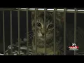 Help Empty the Shelters in Sioux Falls