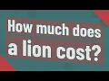 How much does a lion cost